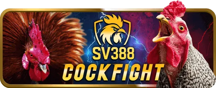 Chương trình hoàn trả cược không giới hạn của 79bet nhà cái